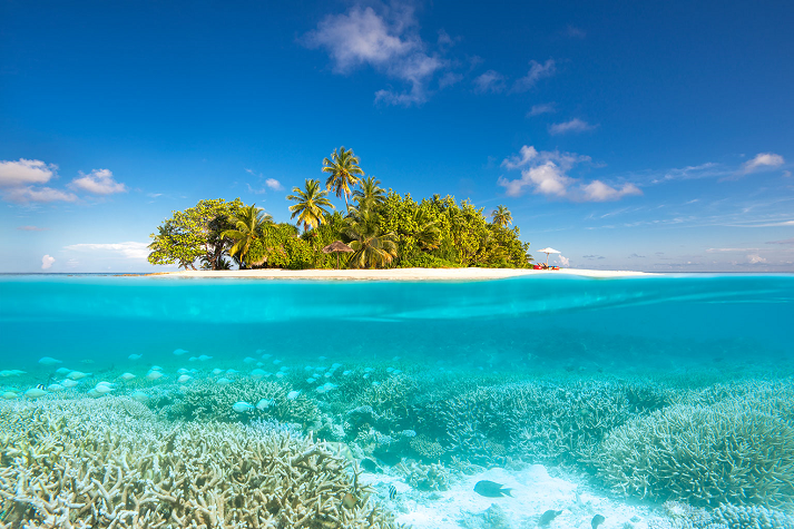 W-Maldives: Luxus, Lifestyle und Farbenrausch